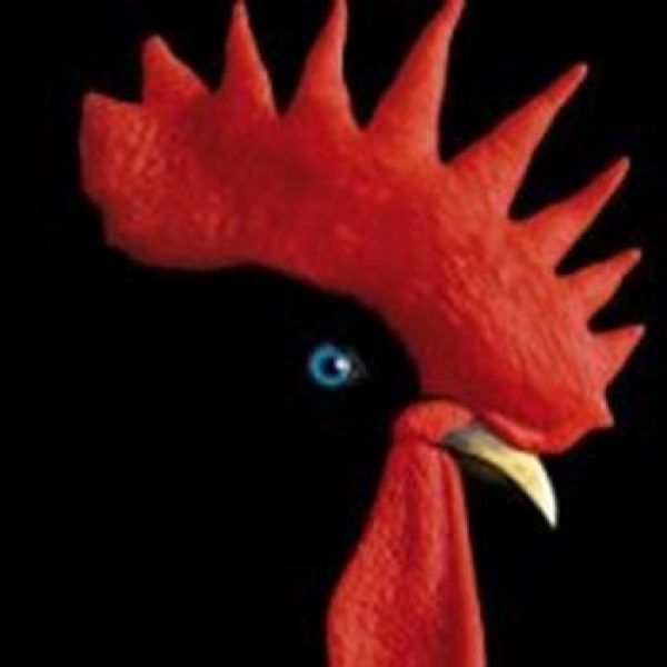 Market Town Taverns rises with Rooster’s