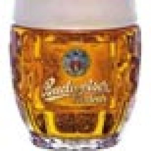 Rare Budvar arrives in the UK