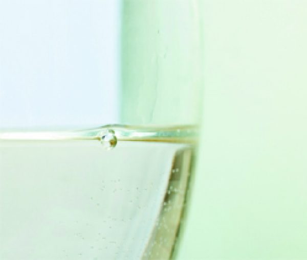 Italy: On-Trade / In Gastro Grigio