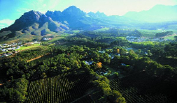 Full Steam Ahead – South Africa: On-Trade