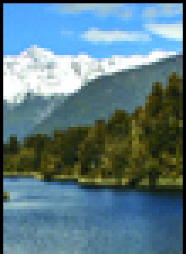 New Zealand – Little wonder