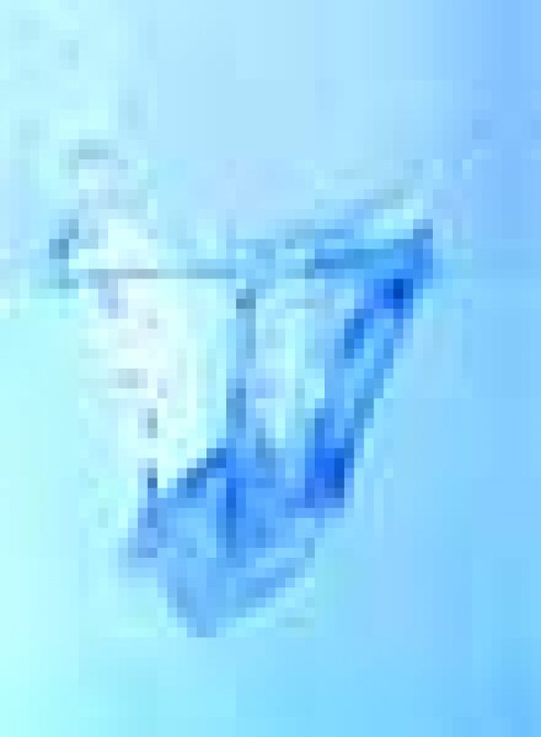 SPIRITS UK MARKET: Viva Vodka