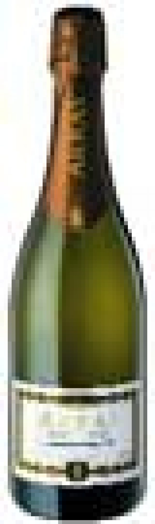 AROUND THE WORLD – January 2007