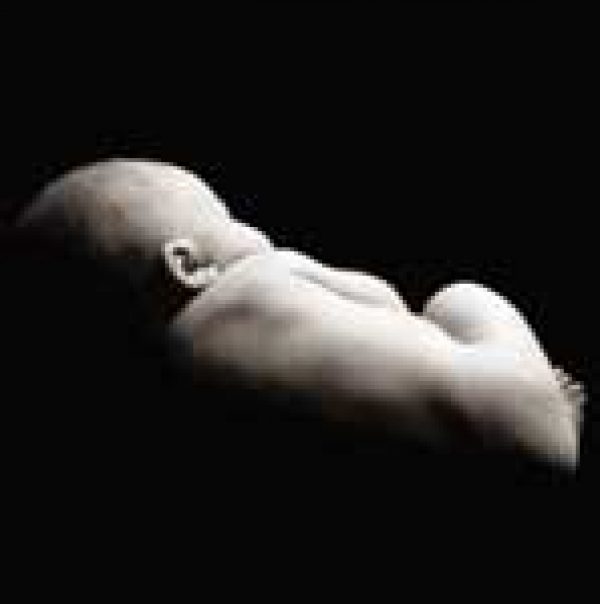 UK RETAIL EMERGING BRANDS: Small beginnings