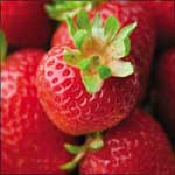 UK RETAIL INDEPENDENTS: A sence of place