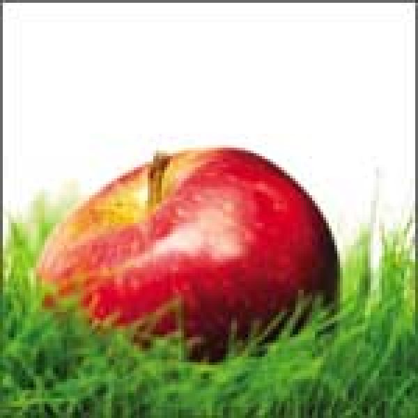 UK RETAIL SPECIALISTS: Chain reaction