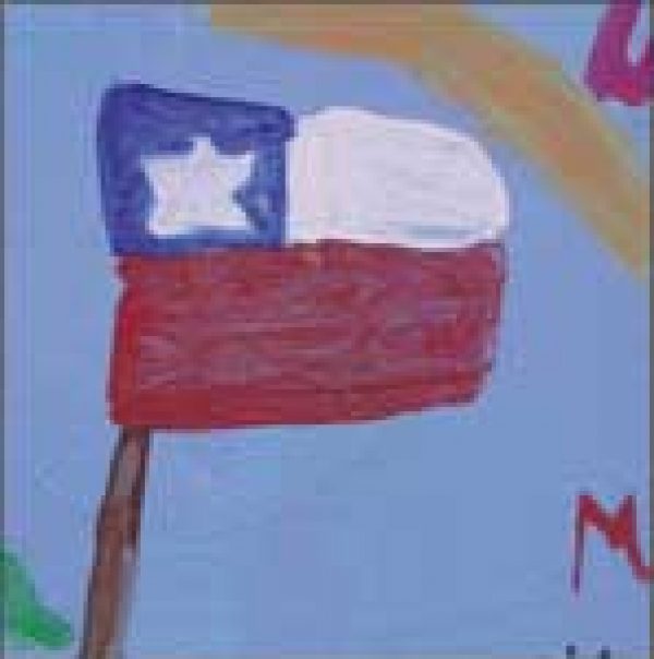 CHILE EXPORTS: Coming of age