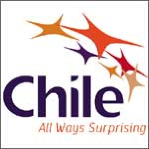 CHILE PROFILE: Wines from Chile