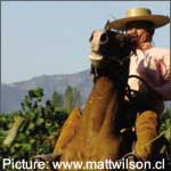 CHILE OVERVIEW: Down to earth