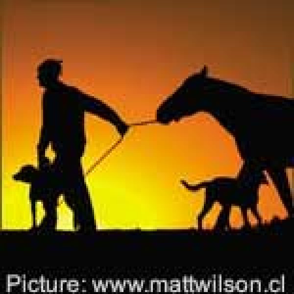 CHILE INVESTMENT: Hot stuff