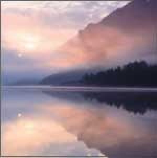 AUSTRIA UPDATE: New heights