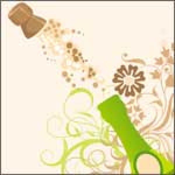 CHAMPAGNE – OVERVIEW: No burst to the bubbles