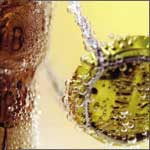 CHAMPAGNE – EXPORTS: Bubbles, bubbles, everywhere!