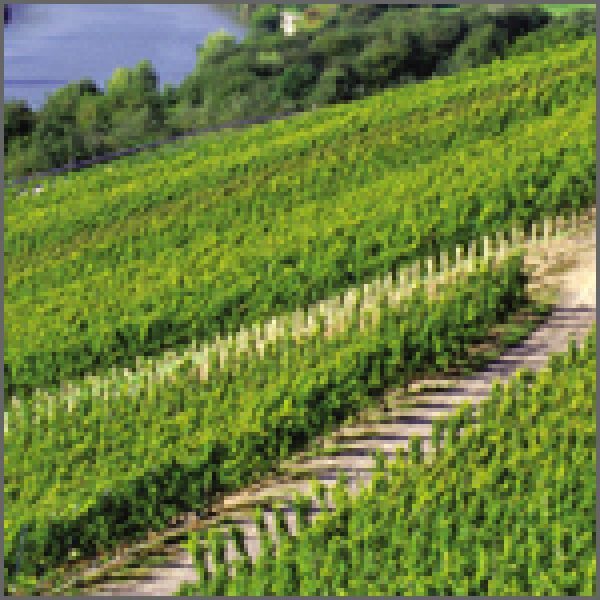 GERMANY – UPDATE: Letâ€™s go Deutsch