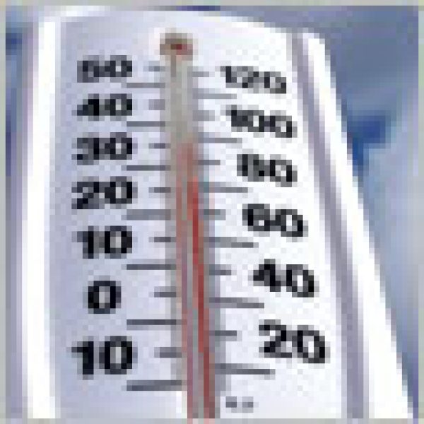 AUSTRALIA: Cool and Trendy