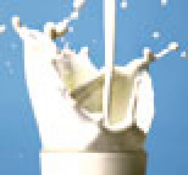 LIQUER: The Cream Team