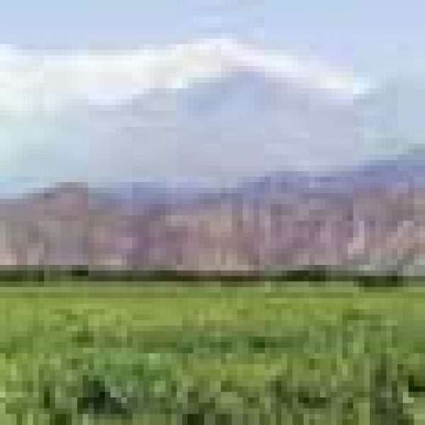 ARGENTINA: Where are the Latin Lovers?