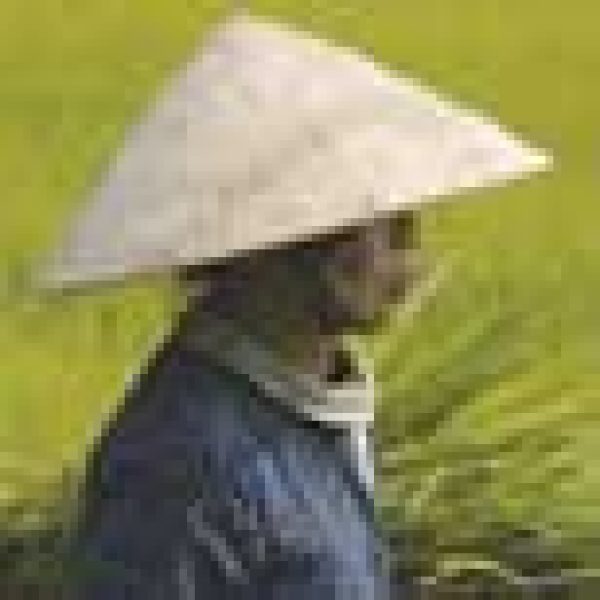 MARKET: Pastures New