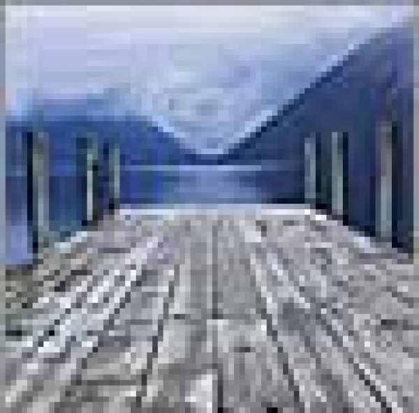 NEW ZEALAND: Not all white