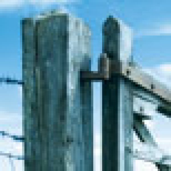 REGIONAL BRANDS: Staying local