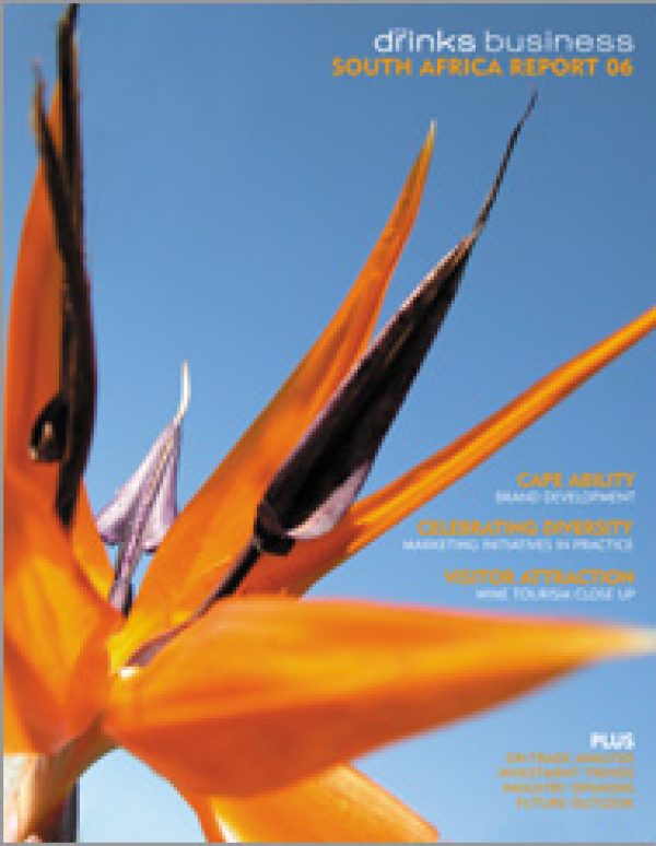 South Africa Report 2006