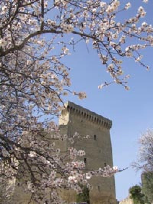 Rhône retains lead on UK French sales