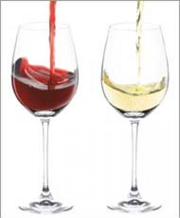 Burgundy Wines Tasting