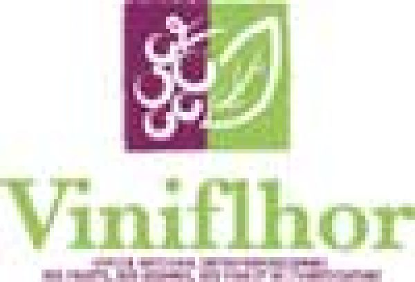 Plans for a national Vins de Pays