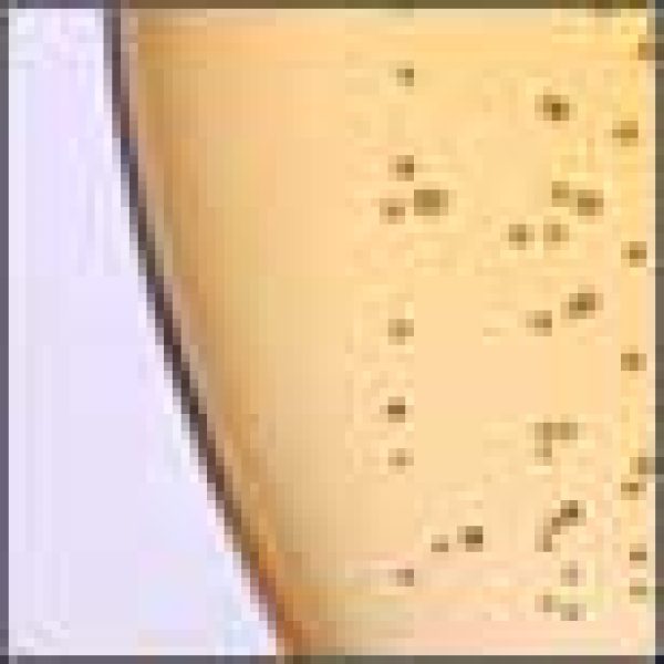 Kiwi sparklers set to soar