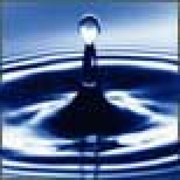 New York & San Francisco urge end to bottled water