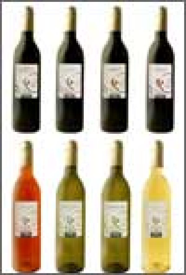 Free Run turns to PET