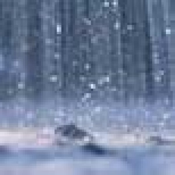 Weather, or narrow product and market scope to blame for C&C profit warning?