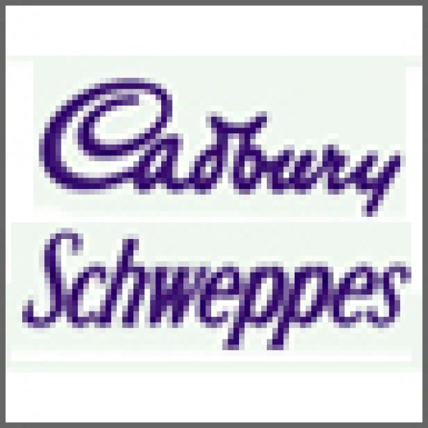 Cadbury blame credit conditions for end to soft drink sale