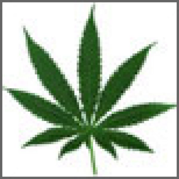 Portman clamps down on Cannabis range