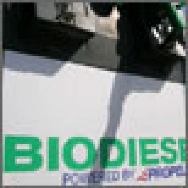 Biofuels impact on beer production