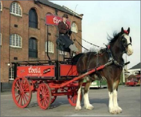 Coors closes visitor centre