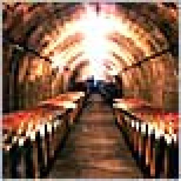 Bordelais concerned about wine sales