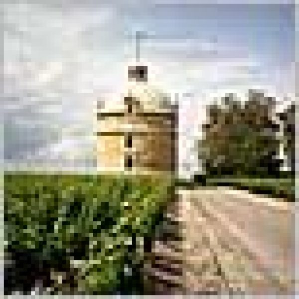 Chateau Latour sale rumour