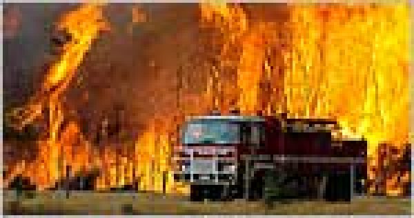 Industry rallies for Australian bush fire victims