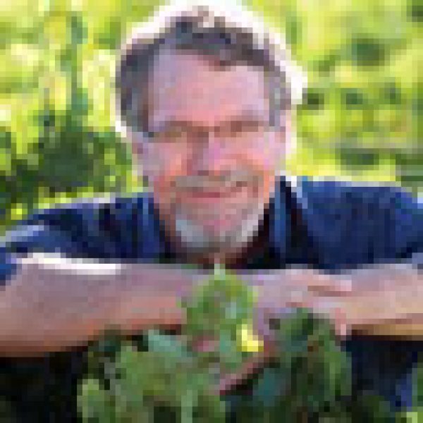 Senior Constellation winemaker quits