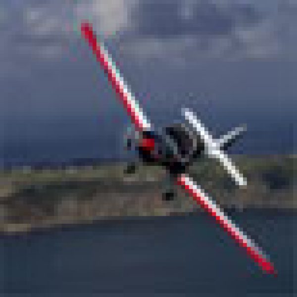 Bulldog takes to the skies