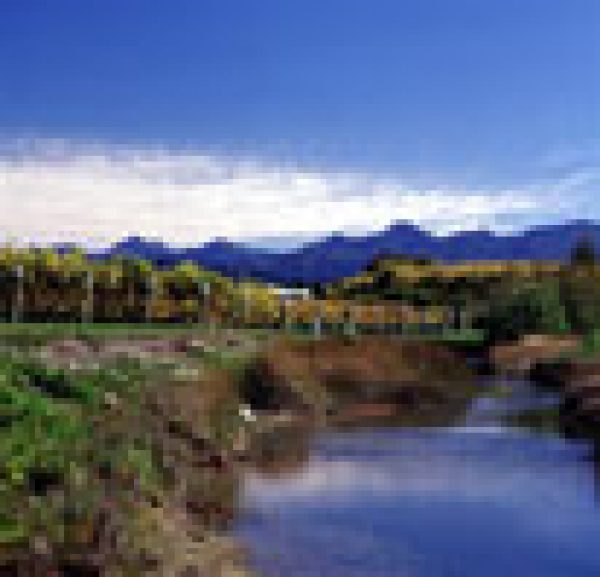 New World bodies join forces