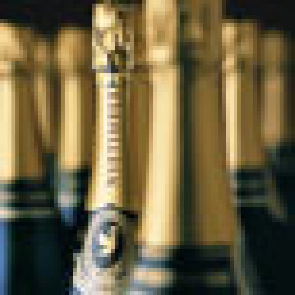 British cuvÃ©e fizzes to victory