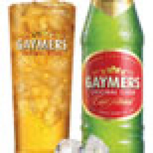 Gaymers brings quirky acts to music festivals