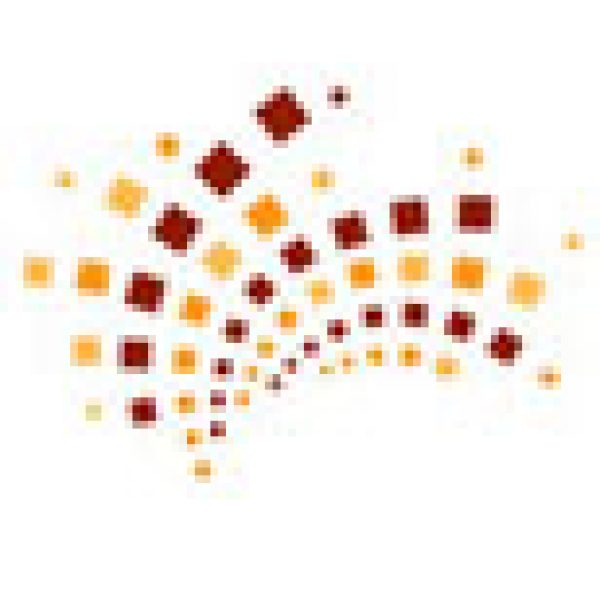 C&C profits slip despite sales rise