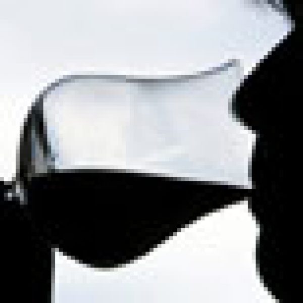 French health study questioned