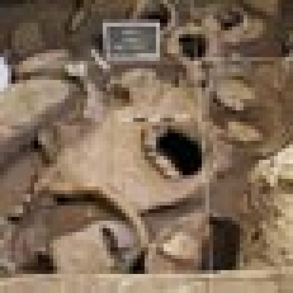 Oldest known wine-making facility found