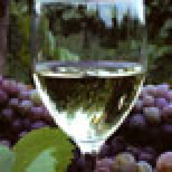 First Date for France tasting 2011