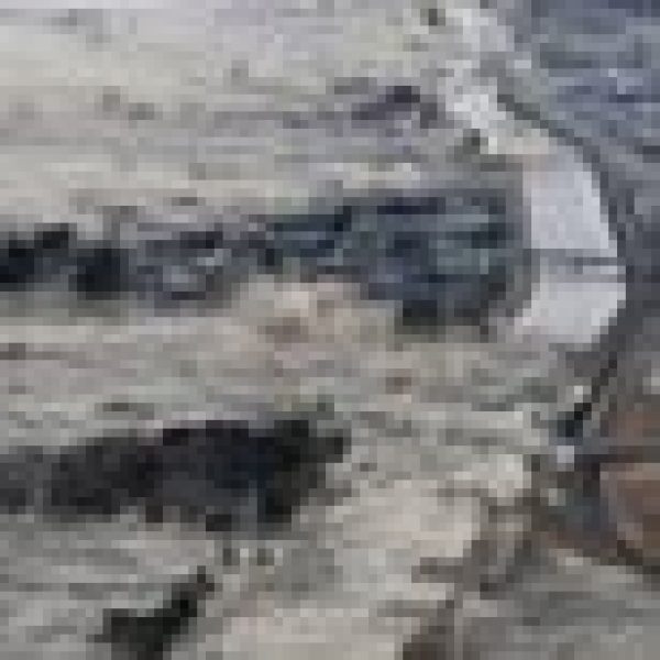 Sake industry counts its losses