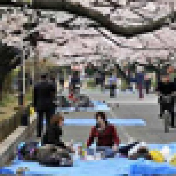 Japanese brewers call for sake parties to help economy